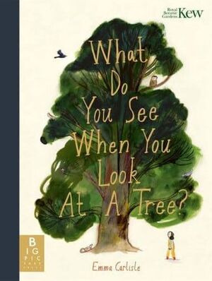 What do you see when you look at a tree