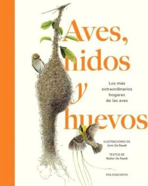 Aves, nidos y huevos