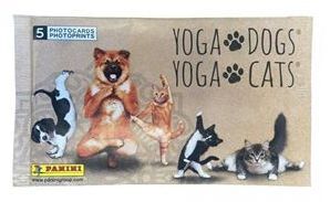 Ecoblister 6 sobres Yoga dogs & yoga cats
