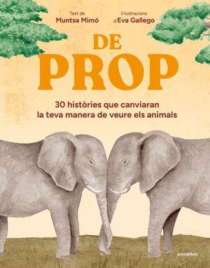 De prop